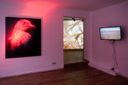 260131 kunstraum 3