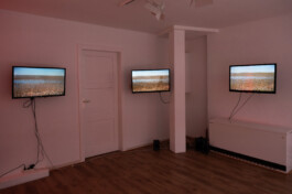 260131 kunstraum 4