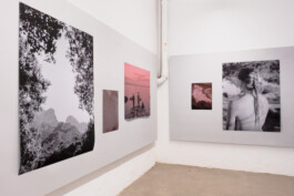 fpc ausstellung gaf